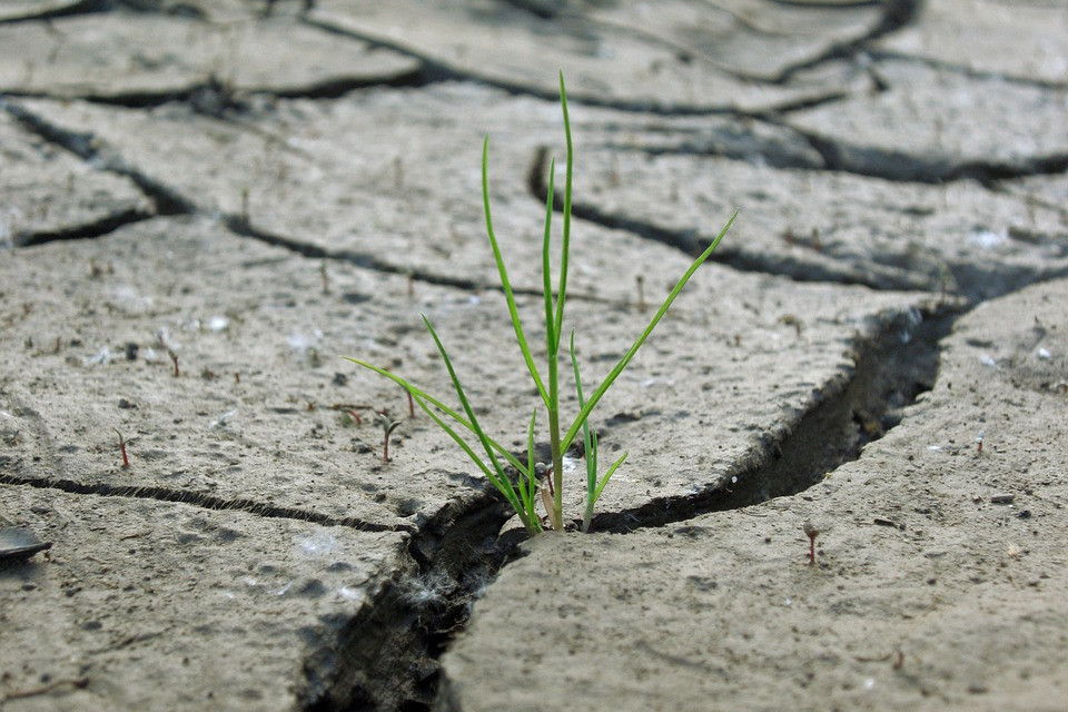 Las sequías: qué sabemos y qué necesitamos para manejar sus riesgos