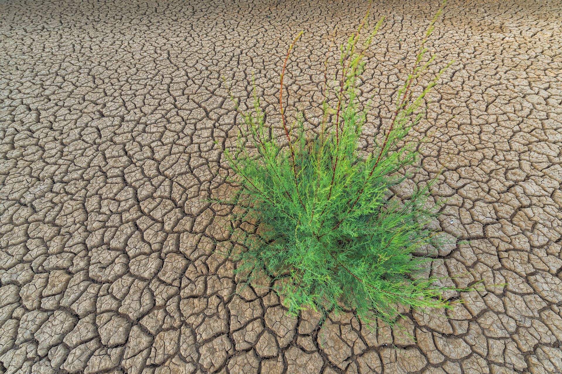 La desertificación y la sequía en el mundo
