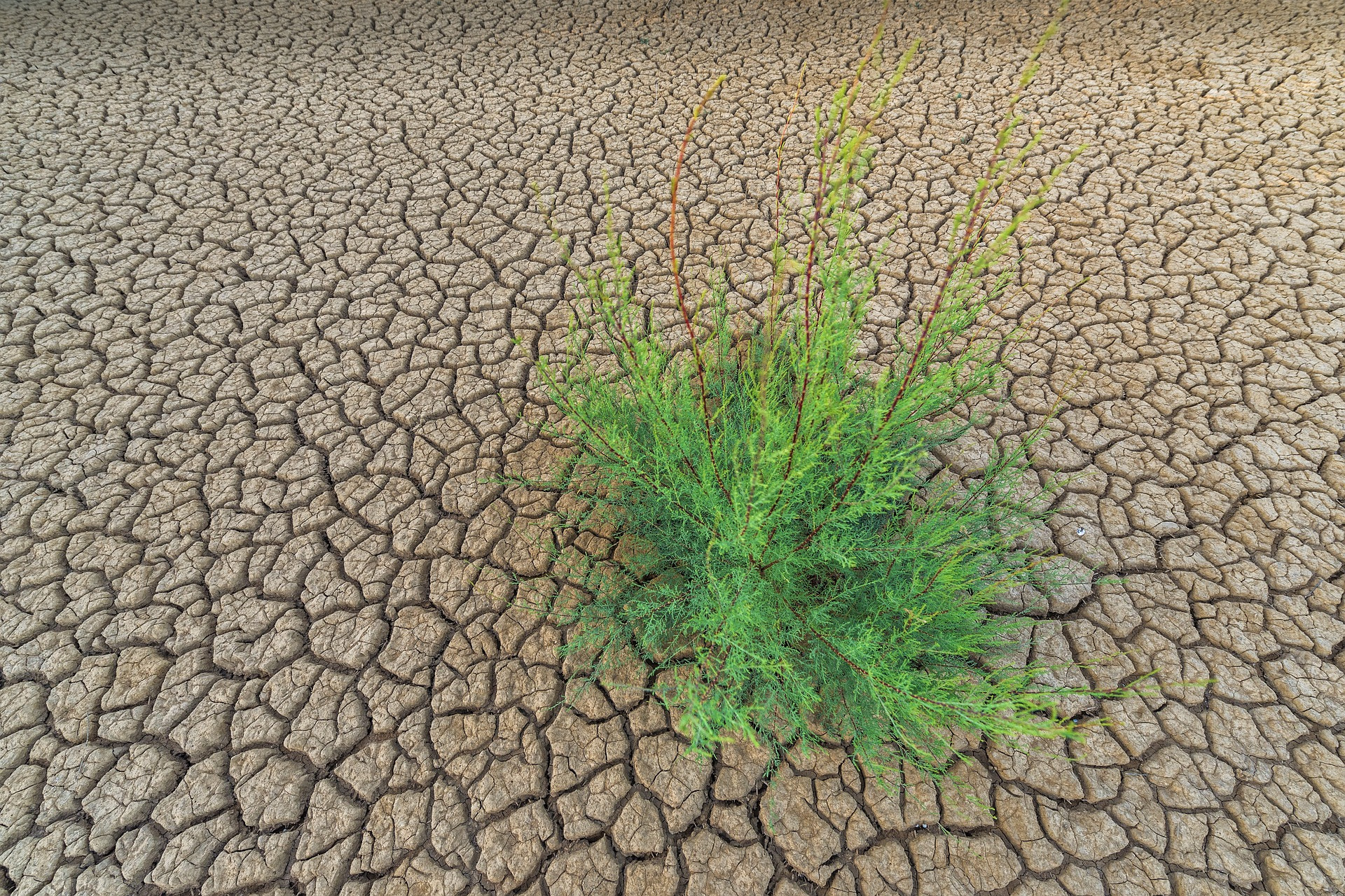 La desertificación y la sequía en el mundo