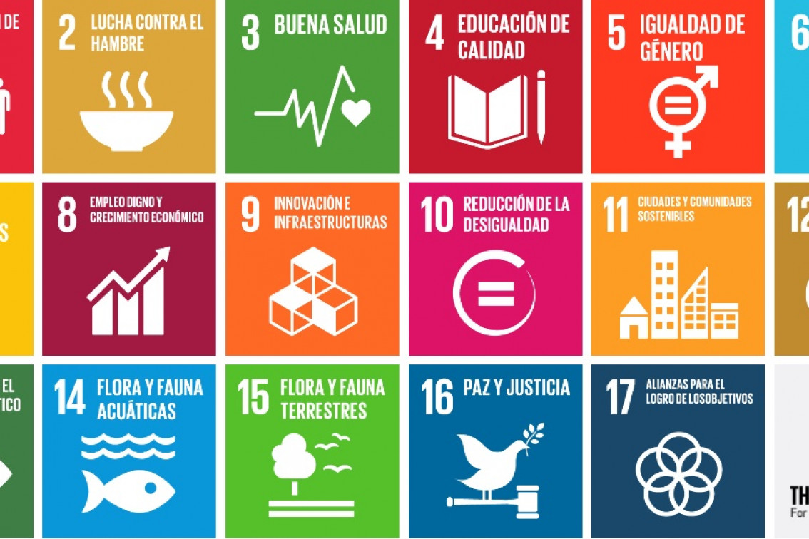 17 objetivos para hacer más sostenible y habitable el mundo