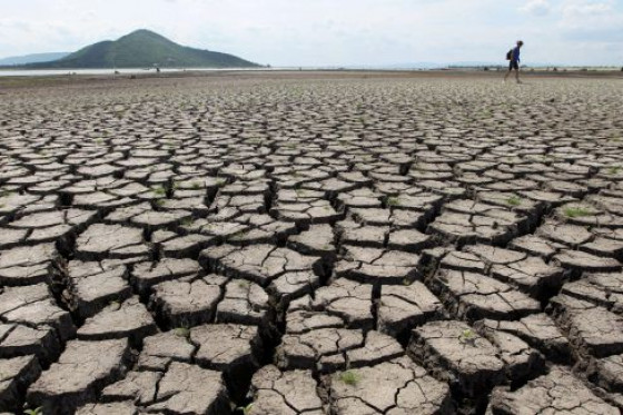 El impacto del cambio climático en la economía