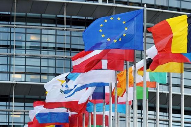 2015: Crisis y avances europeos